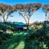 Angata Ngorongoro Camp 03