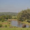 Balloon Camp Tarangire 8