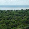 Burunge Camp Roof