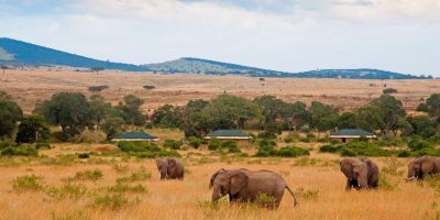 Crater Serengeti Mara