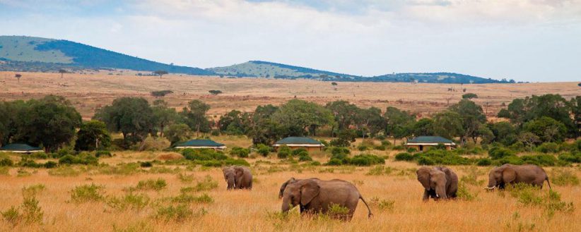 Crater Serengeti Mara