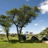 Ikoma Tented Camp 8