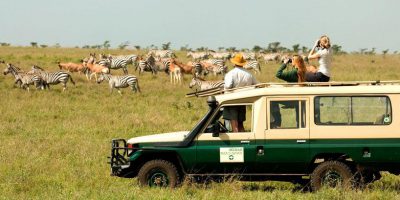 Kenyas Big 5 In Conservancies Drive Fly