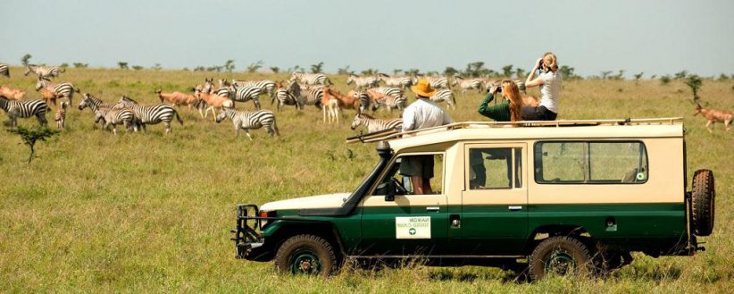 Kenyas Big 5 In Conservancies Drive Fly