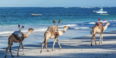 Luxury Mara Diani Beach Break