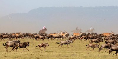 Mara Lakes District Horse Riding Safari