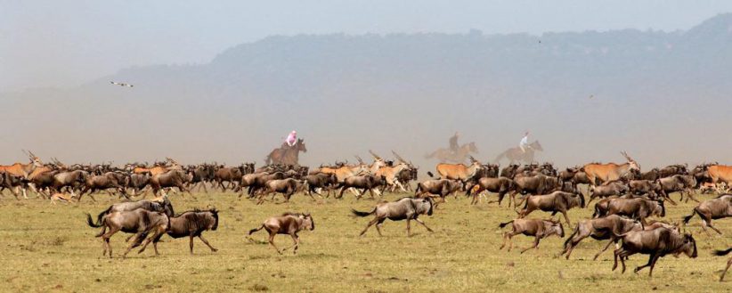 Mara Lakes District Horse Riding Safari