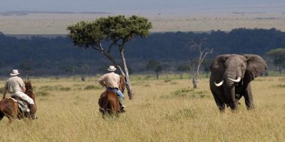 Masai Mara Horse Riding Safari 2