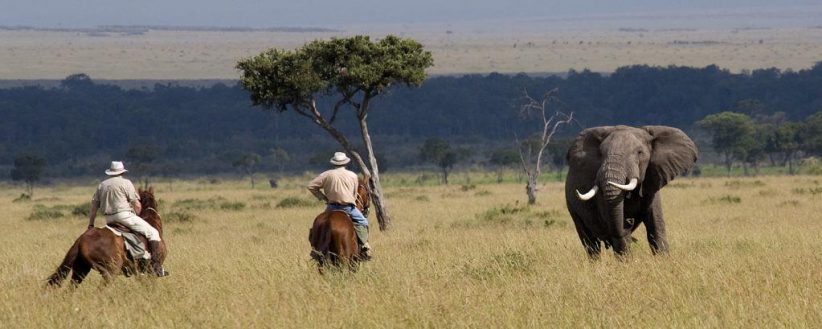 Masai Mara Horse Riding Safari 2