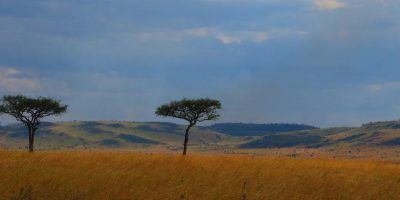 Masai Mara Kruger Cape Town