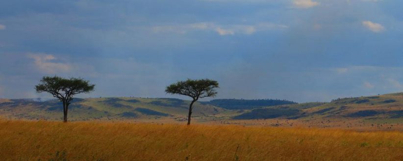 Masai Mara Kruger Cape Town