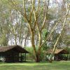 Migunga Tented Camp 2