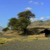 Natron Tented Camp1