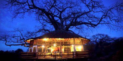 Tarangire Treetops Room Exterior4