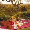 Tarangire Sopa Lodge Bush Picnic