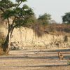 Tarangire River Camp 3