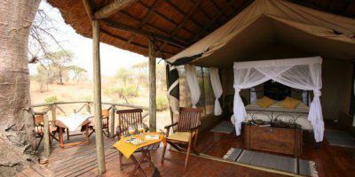 Tarangire River Camp 71