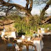 Tindiga Tented Camp 8