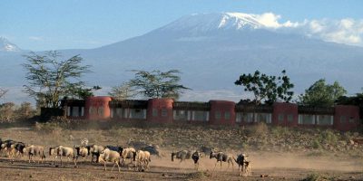 Amboseli Serena Safari Lodge 1937 1023x409