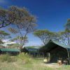 Kirurumu Ngorongoro Camp 1