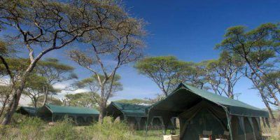 Kirurumu Ngorongoro Camp 1