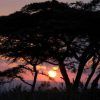 Kirurumu Ngorongoro Camp 6