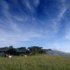 Kirurumu Ngorongoro Camp 8