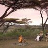 Kirurumu Serengeti Camp 5