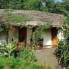 Moivaro Coffee Plantation Lodge 6