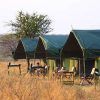 Serengeti Wildcamp