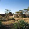 Seronera Wildlife Lodge Exteriorview